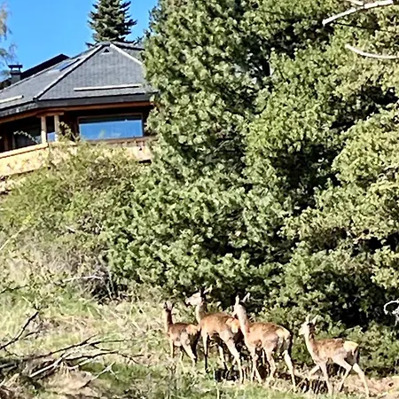 8 Pers- Vue Montagne- Jardin & Ski- Internet- Parking Gratuit